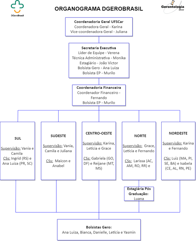 Organograma DGeroBrasil.png