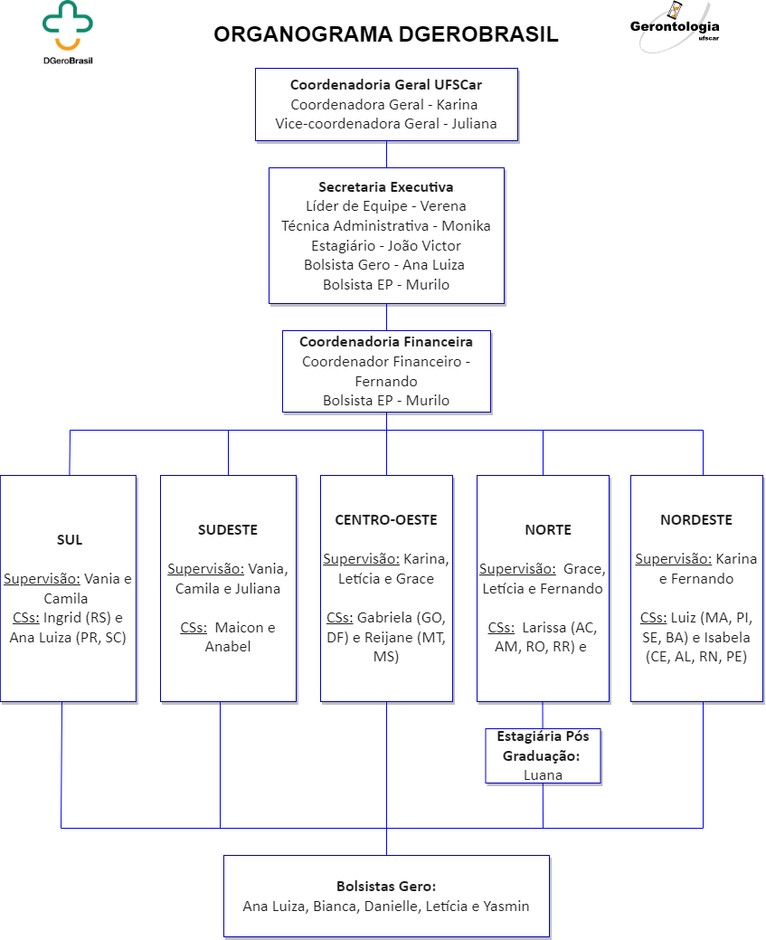 Organograma DGeroBrasil.png